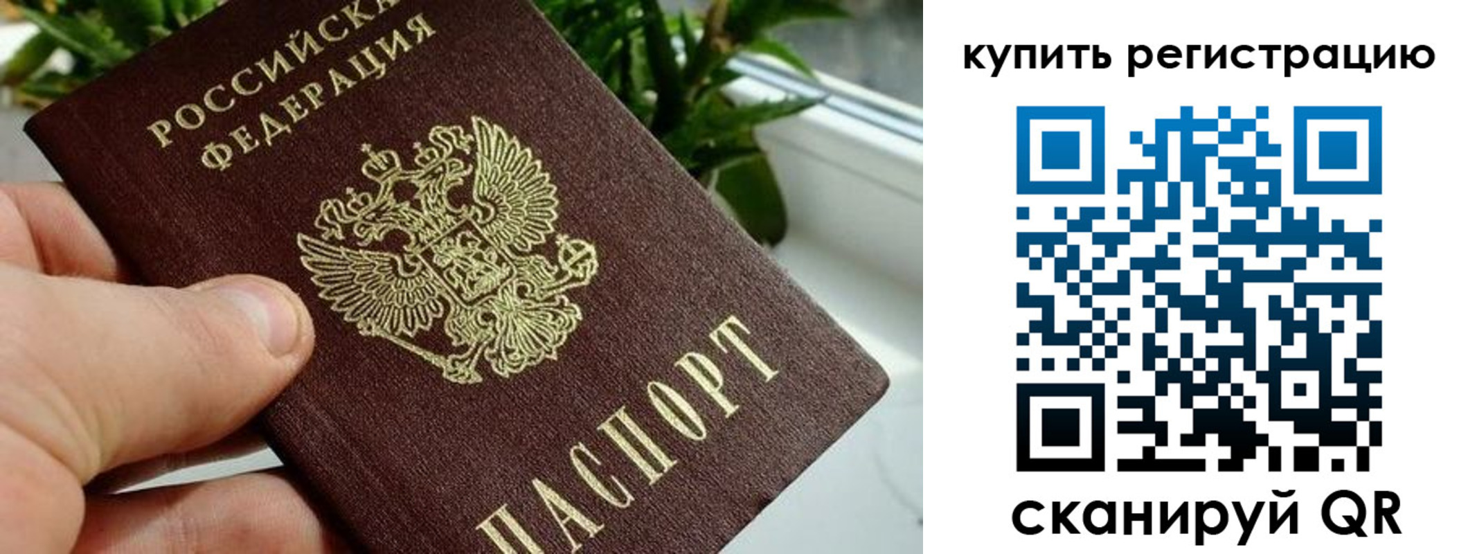 прописка гарантия в Владимирской области